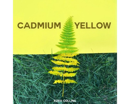 Ezra Collins - Cadmium Yellow