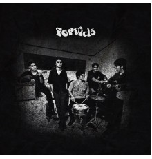 FERVIDS - FERVIDS