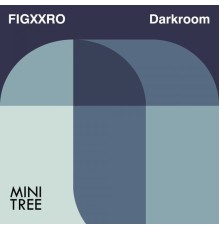 FIGXXRO - Darkroom