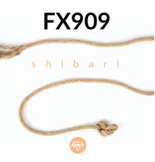 FX909 - Shibari (Original Mix)