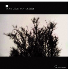 Fabio Orsi - Winterreise