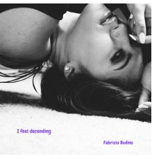 Fabrizio Budino - I feel decending