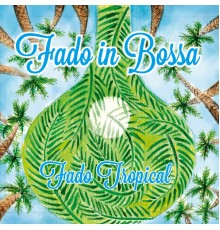 Fado in Bossa - Fado Tropical