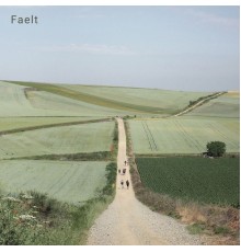 Faelt - Open Fields