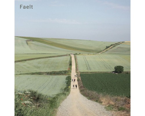 Faelt - Open Fields