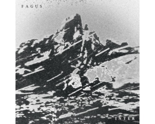 Fagus - Inter