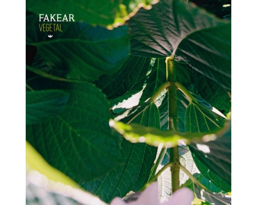 Fakear - Vegetal: Offshoots EP