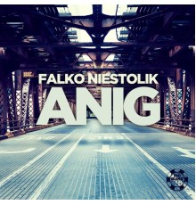 Falko Niestolik - Anig