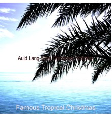 Famous Tropical Christmas - Auld Lang Syne Christmas Holidays