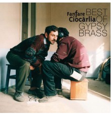 Fanfare Ciocarlia - Best of Gypsy Brass