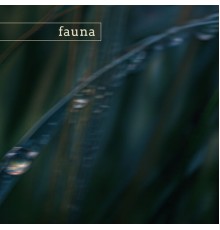 Fauna - smoky mountains (nature)