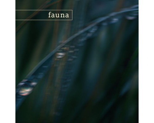 Fauna - smoky mountains (nature)