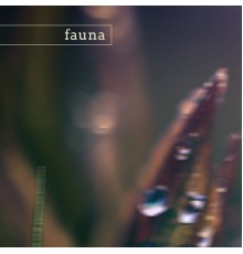 Fauna - olympic (nature)