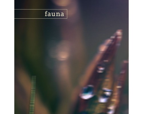 Fauna - olympic (nature)