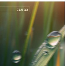 Fauna - redwood (nature)