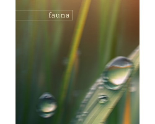 Fauna - redwood (nature)