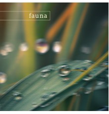 Fauna - zion (nature)