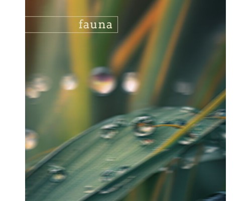 Fauna - zion (nature)