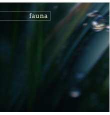 Fauna - wind cave (nature)