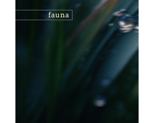 Fauna - wind cave (nature)