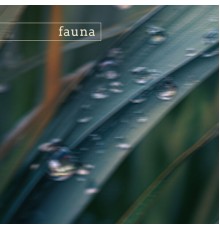 Fauna - big bend (nature)