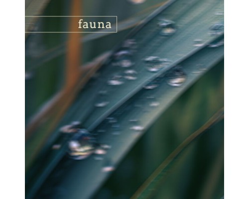 Fauna - big bend (nature)