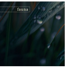 Fauna - arcadia (nature)