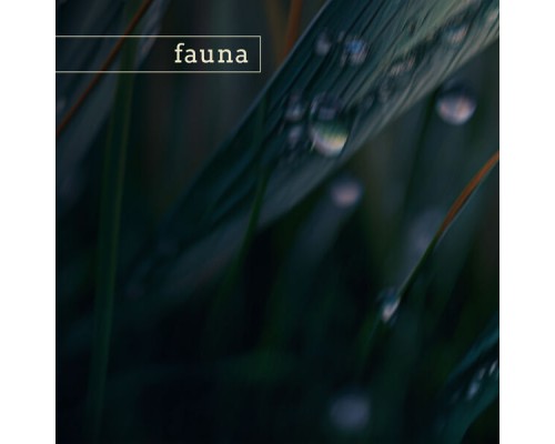 Fauna - arcadia (nature)