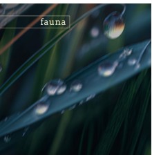 Fauna - crater lake (nature)