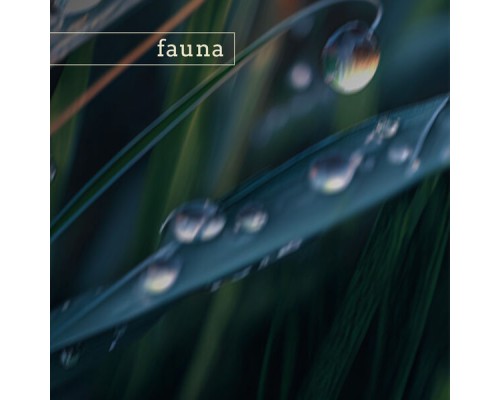 Fauna - crater lake (nature)