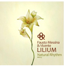 Fausto Messina - Lilium