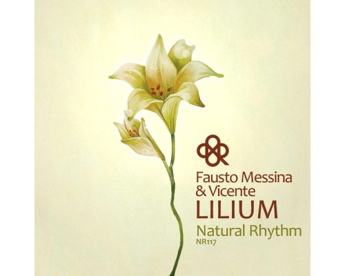 Fausto Messina - Lilium