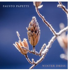 Fausto Papetti - Winter Dress