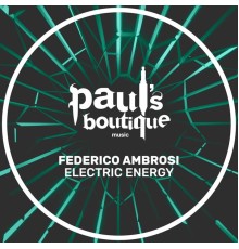 Federico Ambrosi - Electric Energy