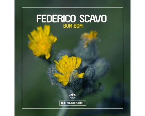 Federico Scavo - Bom Bom