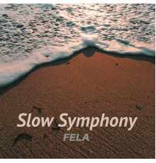 Fela - Slow Symphony