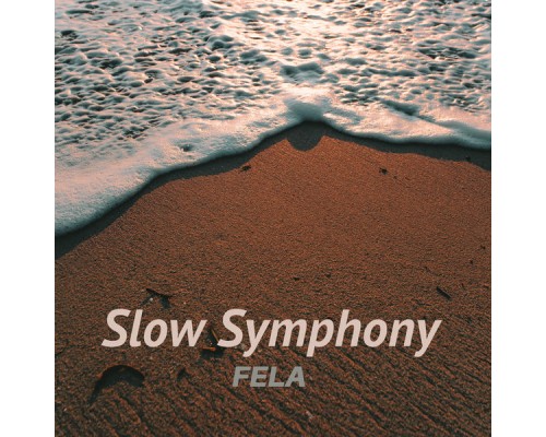 Fela - Slow Symphony