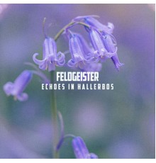 Feldgeister - Echoes in Hallerbos