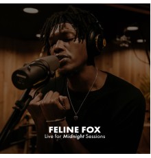 Feline Fox - Feline Fox (Midnight Sessions) [Live]