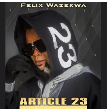 Felix Wazekwa - Article 23