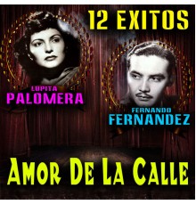 Fernando Fernandez - 12 Exitos