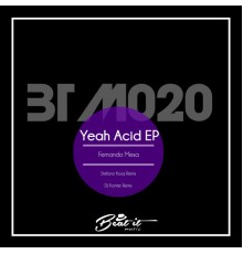 Fernando Mesa - Yeah Acid