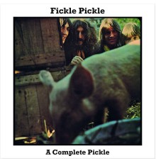 Fickle Pickle - A Complete Pickle