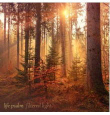 Filtered Light - Life Psalm
