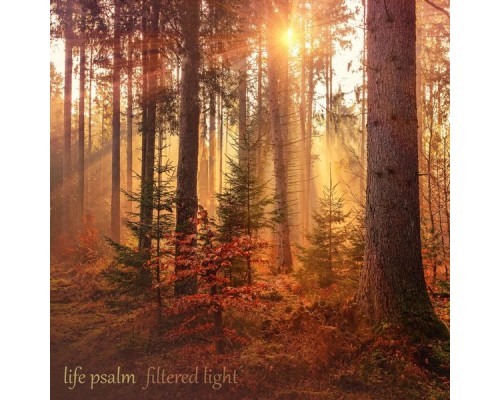 Filtered Light - Life Psalm Filtered Light - Life Psalm