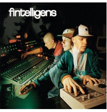 Fintelligens - Kokemusten Summa