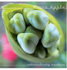 Fiona Apple - Extraordinary Machine