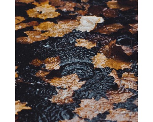 Fioren - Petrichor Fioren - Petrichor