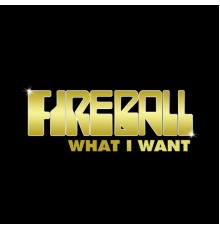 Fireball - What I Want