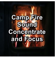 Fireplace Music, Fireplace Dream, Fire Sounds & Fireplace Sounds, Cam Dut - Camp Fire Sound Concentrate and Focus